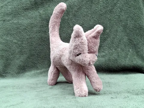 Small gray plush Cat from top