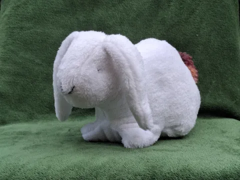 Big white plush Rabbit from top