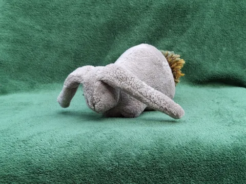 Medium gray plush Rabbit from top