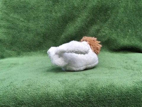 Small white plush Rabbit from top