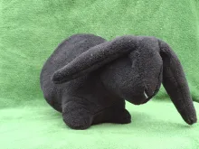 Big black plush Rabbit from top
