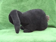 Big black plush Rabbit from side