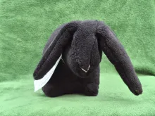 Big black plush Rabbit from front