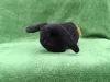 Medium black plush Rabbit from top
